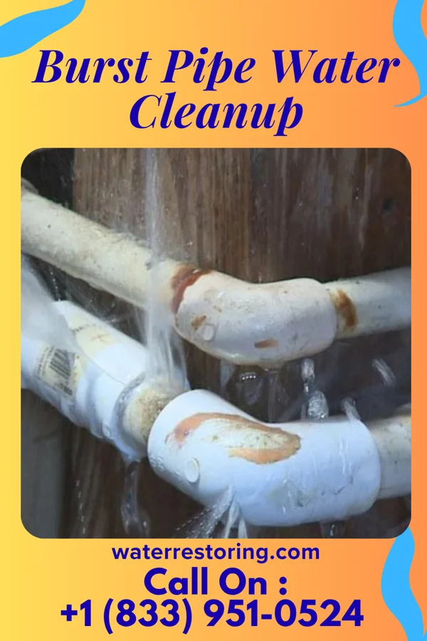 Burst Pipe Water Cleanup in Sorrel, LA