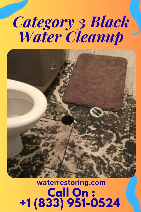Category 3 Black Water Cleanup in Sorrel, LA