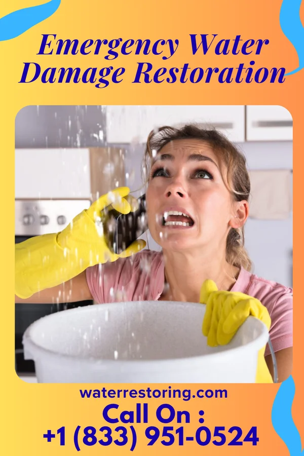 Emergency Water Damage Restoration in Sorrel, LA