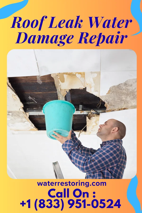 Roof Leak Water Damage Repair in Sorrel, LA